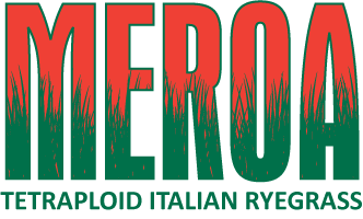 Meroa Italian Ryegrass Logo